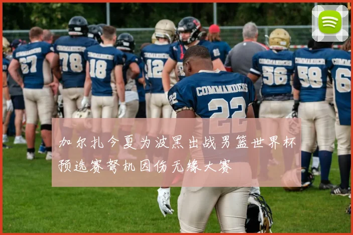 加尔扎今夏为波黑出战男篮世界杯预选赛弩机因伤无缘大赛