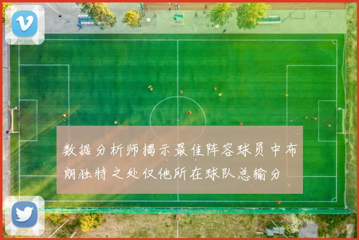数据分析师揭示最佳阵容球员中布朗独特之处仅他所在球队总输分